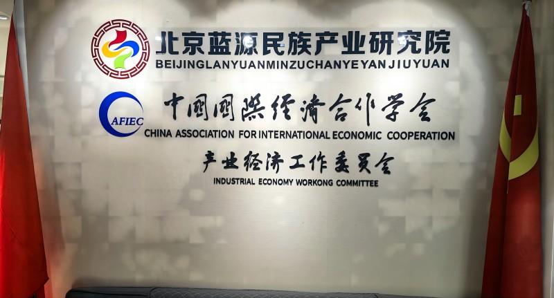 发挥党支部战斗堡垒作用  推动北京蓝源民族产业研究院高质量发展